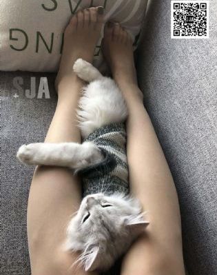日韩绝顶_DVD国语在线观看