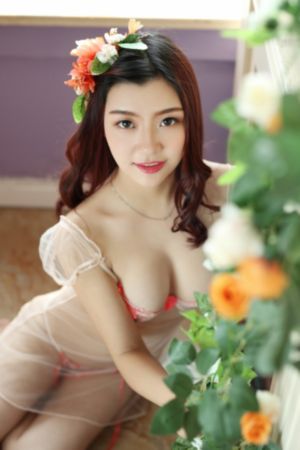 欧美战争片全集_BD国语全集免费观看